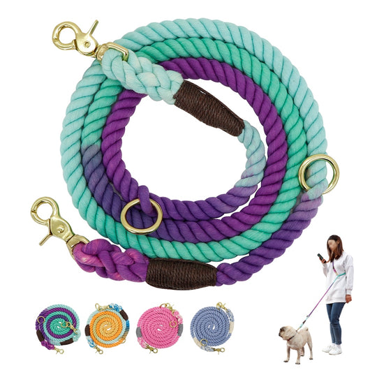 Collar Degradado para Perros con Correa de Entrenamiento y Cadena Metálica - Image 6