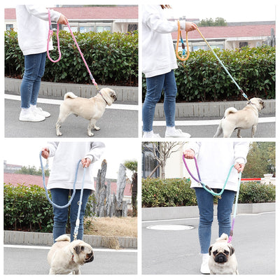 Collar Degradado para Perros con Correa de Entrenamiento y Cadena Metálica - Image 9