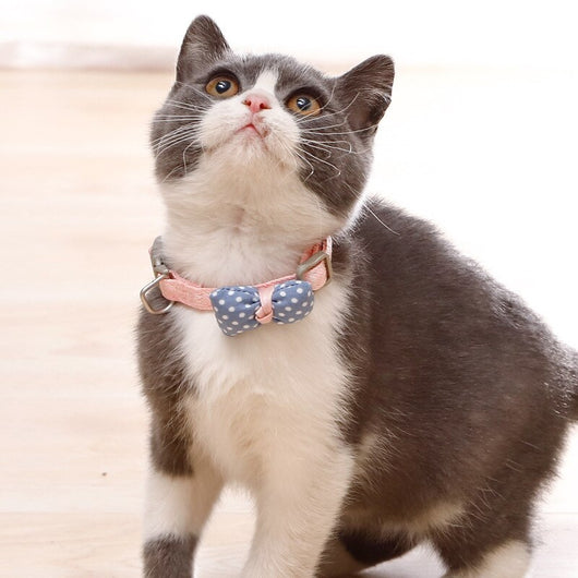 Collar para Gato con Lunares y Moño de Algodón - Image 6