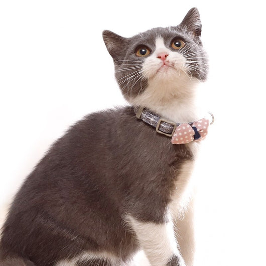 Collar para Gato con Lunares y Moño de Algodón - Image 7