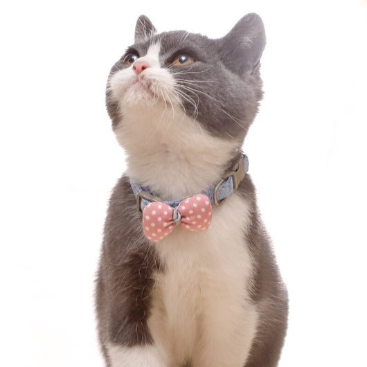 Collar para Gato con Lunares y Moño de Algodón - Image 8