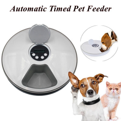 Comedero Automático Inteligente para Perros y Gatos con Música y 6 Compartimentos - Image 8