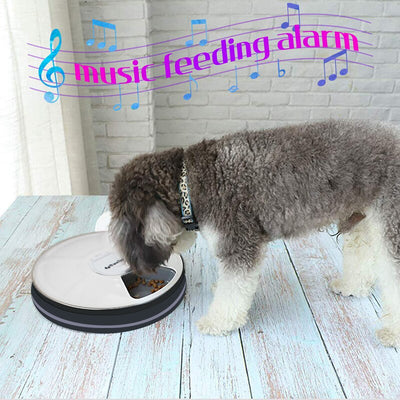 Comedero Automático Inteligente para Perros y Gatos con Música y 6 Compartimentos - Image 11