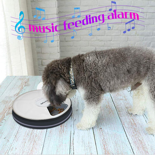 Comedero Automático Inteligente para Perros y Gatos con Música y 6 Compartimentos - Image 11