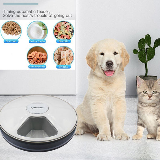 Comedero Automático Inteligente para Perros y Gatos con Música y 6 Compartimentos - Image 12