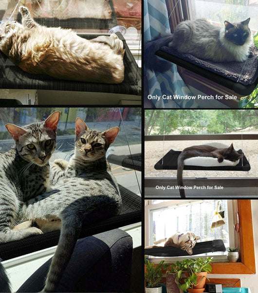 Hamaca Felina con Ventosas - Reposo Cómodo para tu Gato - Image 10