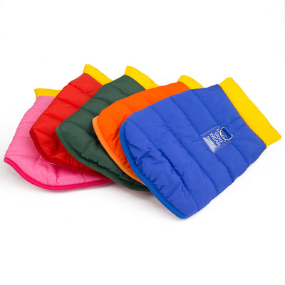 Ropa de Abrigo para Mascotas - Otoño e Invierno - Image 12