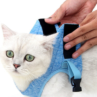 Correa de Tracción para Pasear Gatos - Control Seguro y Cómodo - Image 16
