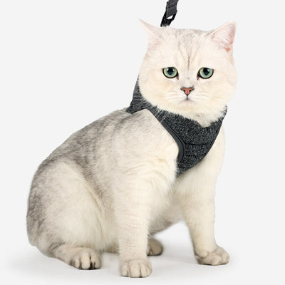 Correa de Tracción para Pasear Gatos - Control Seguro y Cómodo - Image 18