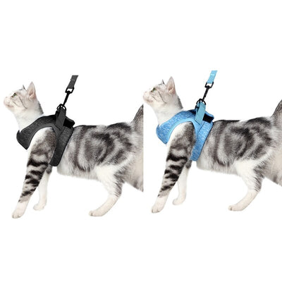 Correa de Tracción para Pasear Gatos - Control Seguro y Cómodo - Image 20