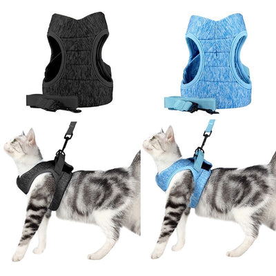 Correa de Tracción para Pasear Gatos - Control Seguro y Cómodo - Image 23