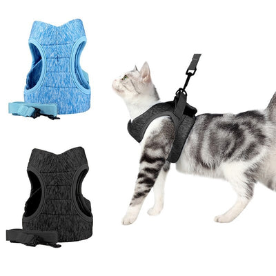 Correa de Tracción para Pasear Gatos - Control Seguro y Cómodo - Image 24
