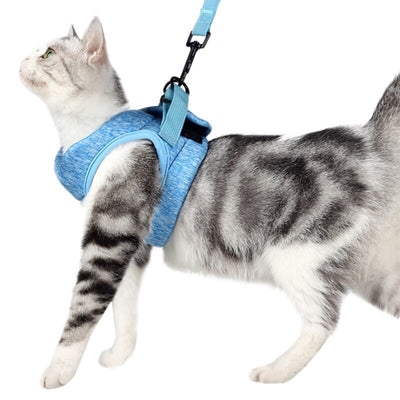 Correa de Tracción para Pasear Gatos - Control Seguro y Cómodo - Image 26