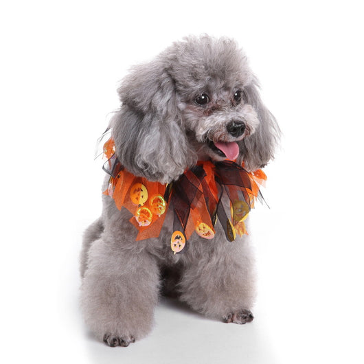 Gorro y Babero Navideño para Mascotas - Image 16