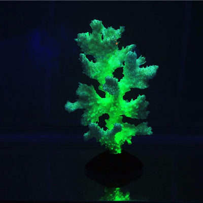 Árbol de Coral Artificial - Image 13
