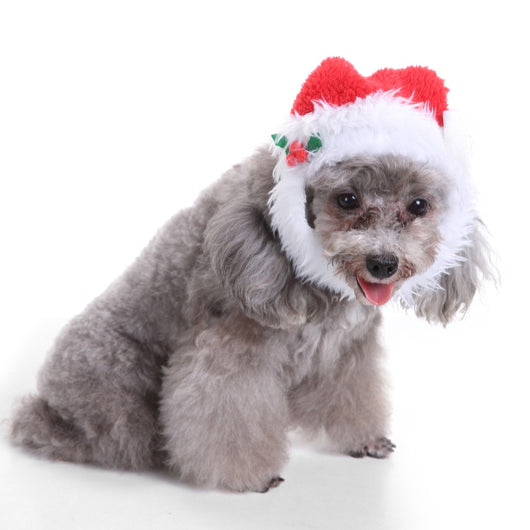 Gorro y Babero Navideño para Mascotas - Image 38