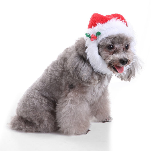 Gorro y Babero Navideño para Mascotas - Image 39