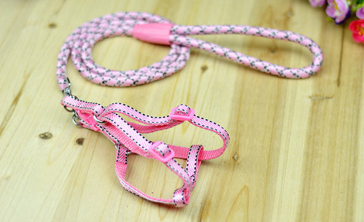 Cuerda Trenzada de Nylon Multicolor con Rayas - Image 10