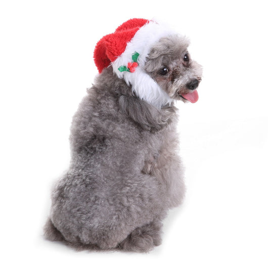 Gorro y Babero Navideño para Mascotas - Image 40
