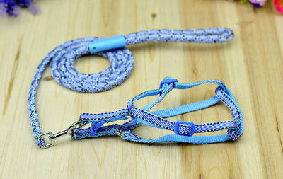 Cuerda Trenzada de Nylon Multicolor con Rayas - Image 11