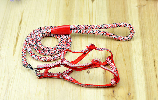 Cuerda Trenzada de Nylon Multicolor con Rayas - Image 12