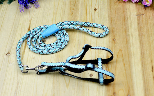 Cuerda Trenzada de Nylon Multicolor con Rayas - Image 13