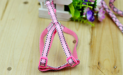 Cuerda Trenzada de Nylon Multicolor con Rayas - Image 14