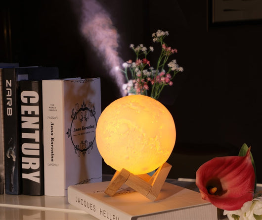 Moon-shaped night light and air humidifier on a wooden stand, emitting mist and a warm glow, with books and flowers. - Image 19