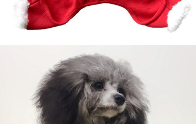 Ropa Navideña para Perros - Abrigos Invierno Festivos - Image 13
