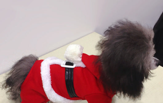 Ropa Navideña para Perros - Abrigos Invierno Festivos - Image 15