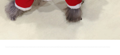 Ropa Navideña para Perros - Abrigos Invierno Festivos - Image 16