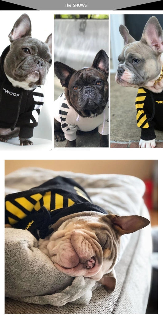 Suéter Grueso de Terciopelo para Perros Pet Tide Plus - Image 8