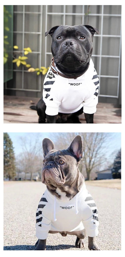 Suéter Grueso de Terciopelo para Perros Pet Tide Plus - Image 11