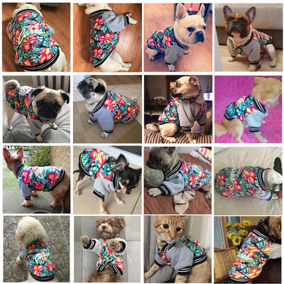 Ropa Elástica Estampada para Perros Pitbull - Diseño de Dos Patas - Image 8