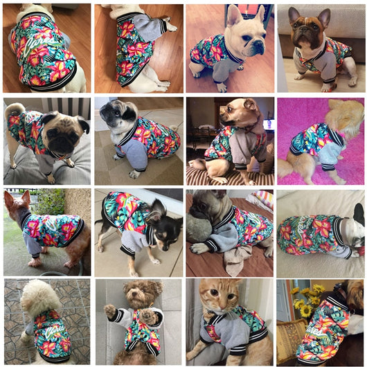 Ropa Elástica Estampada para Perros Pitbull - Diseño de Dos Patas - Image 8