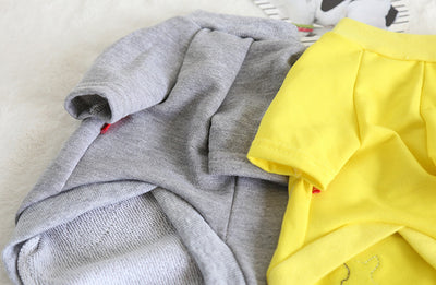 Ropa para Perros - Abrigos y Prendas de Moda Canina - Image 17