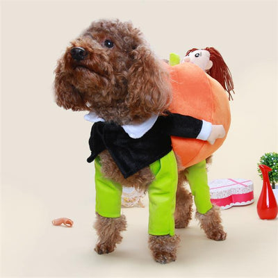 Decoraciones de Calabaza Halloween para Mascotas - Image 8