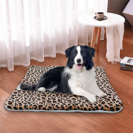 Cama Acolchada para Perros - Image 7