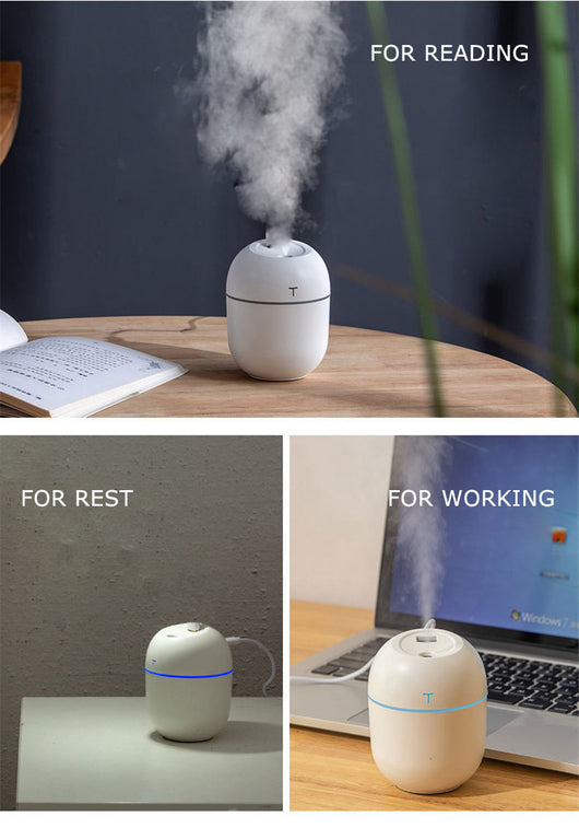 White egg-shaped mini USB humidifier with a 220ml capacity, featuring a subtle 'T' logo and grey accent line. - Image 14