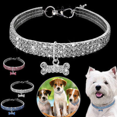 Collar Elegante para Perro - Image 6