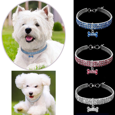 Collar Elegante para Perro - Image 7