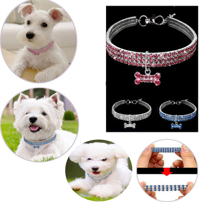 Collar Elegante para Perro - Image 8