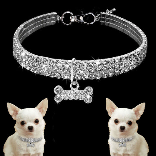 Collar Elegante para Perro - Image 9