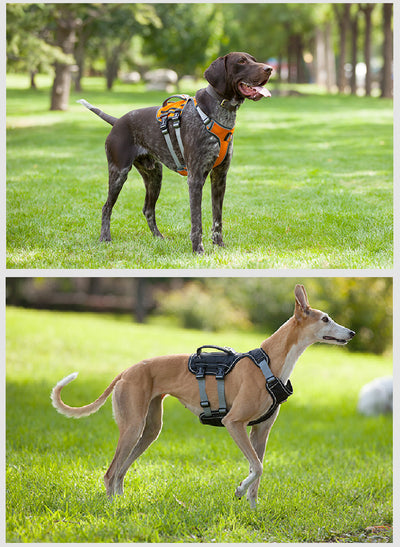Arnés Reflectante y Transpirable para Mascotas con Cuerda de Tracción - Image 10