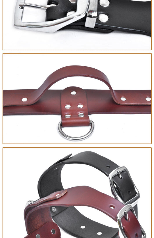 Collar Ajustable para Perros Medianos y Grandes - Image 7
