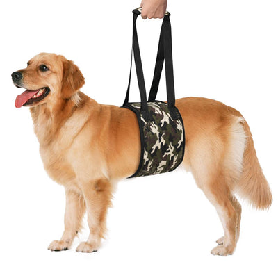 Cinturón Auxiliar para Pasear Perros - Image 18