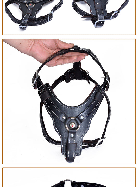 Arnés de Cuero Genuino para Perros - Image 7