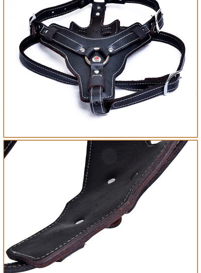 Arnés de Cuero Genuino para Perros - Image 8