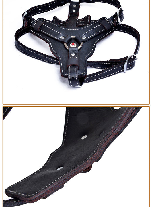 Arnés de Cuero Genuino para Perros - Image 8