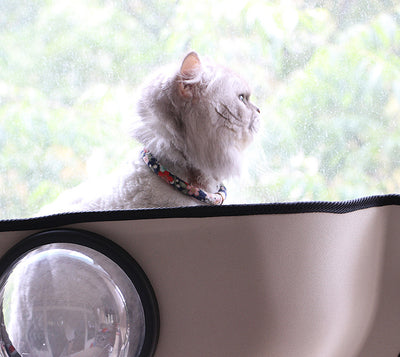 Hamaca de Ventana para Gatos con Ventosas - Image 15
